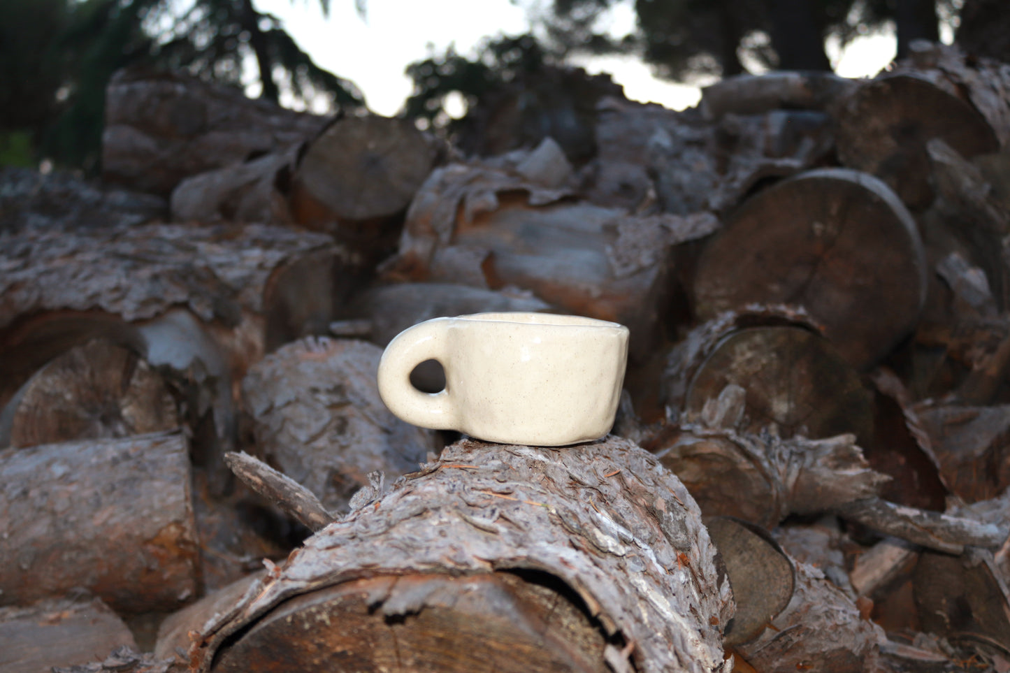 Horse Mug